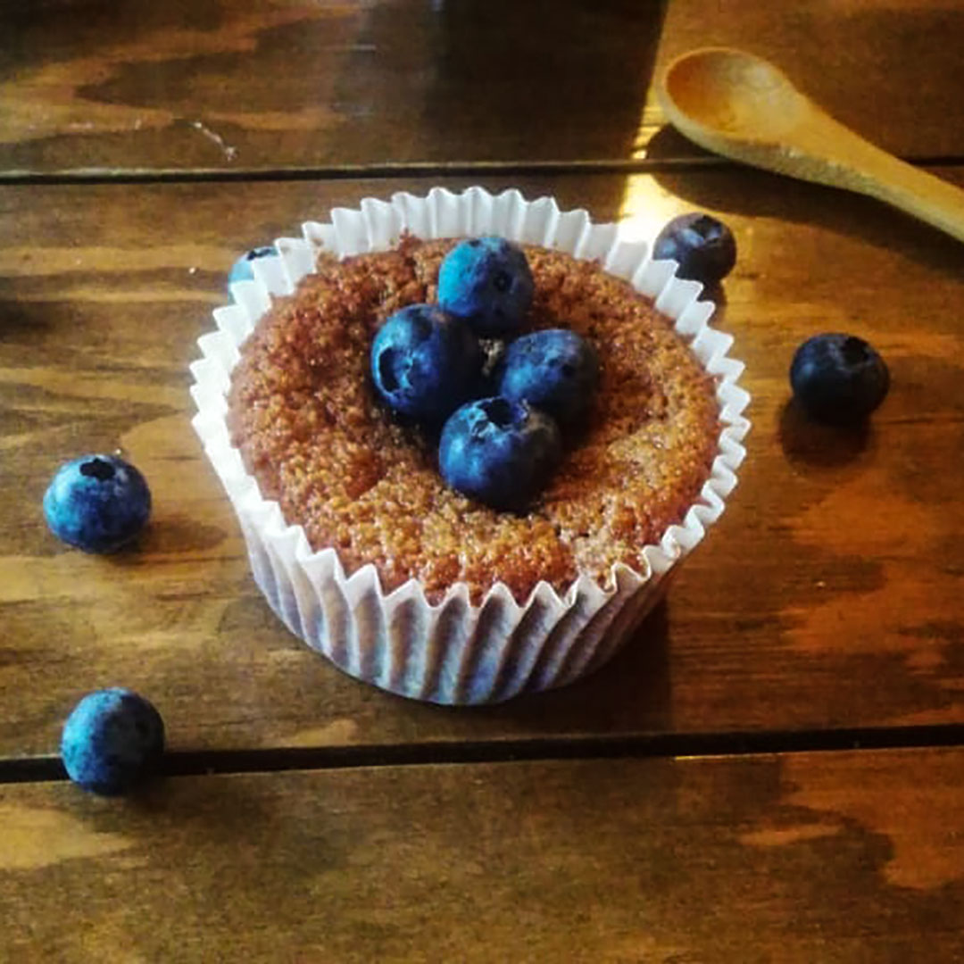 Blueberry Cupcake